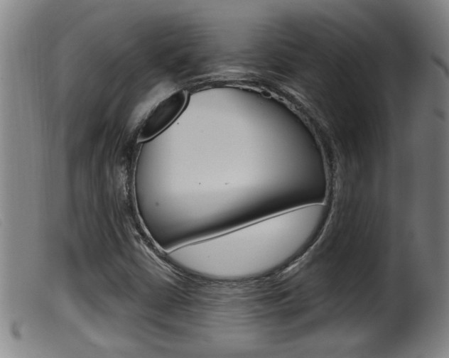 X0000099951402200805230950