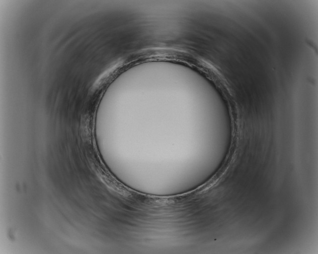 X0000099951403200805230950