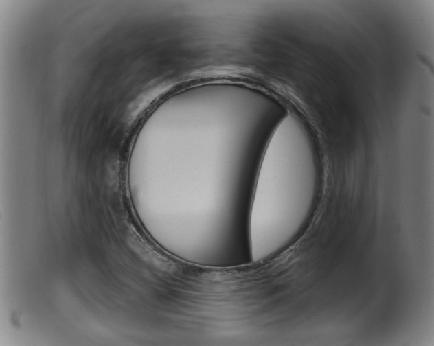 X0000099951404200805230950