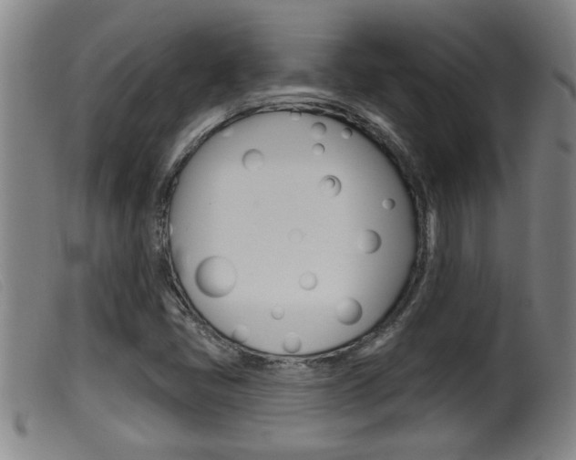 X0000099951405200805230950