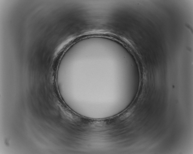 X0000099951406200805230950