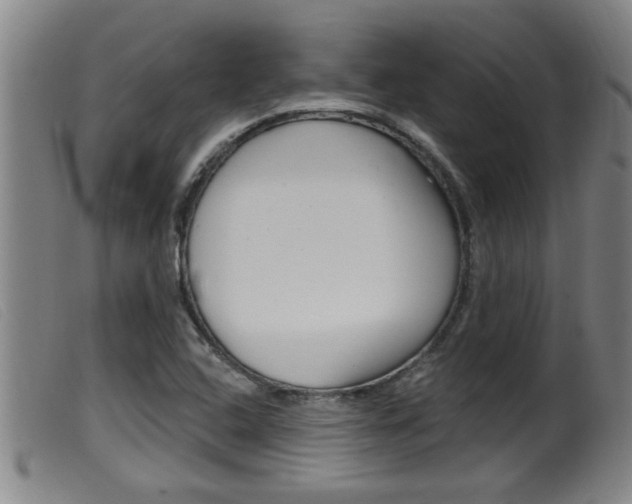 X0000099951408200805230950