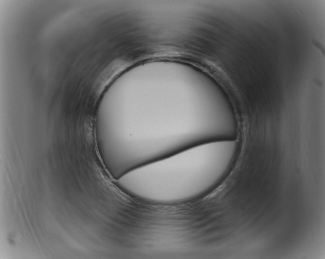 X0000099951409200805230950