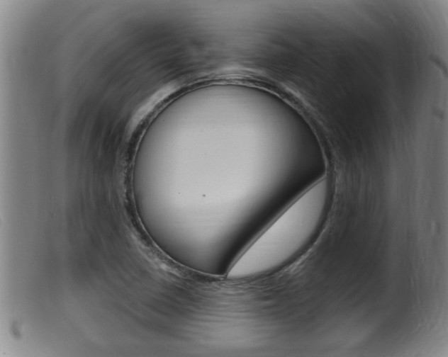 X0000099951410200805230950