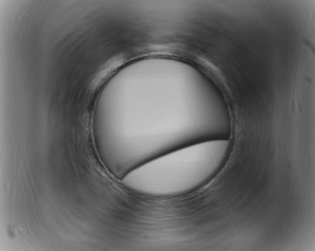 X0000099951411200805230950