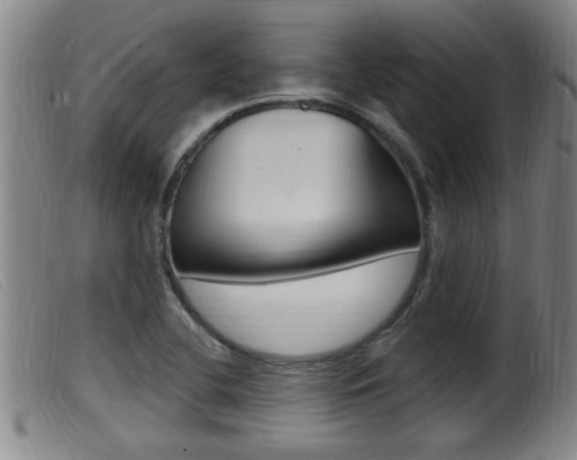 X0000099951412200805230950