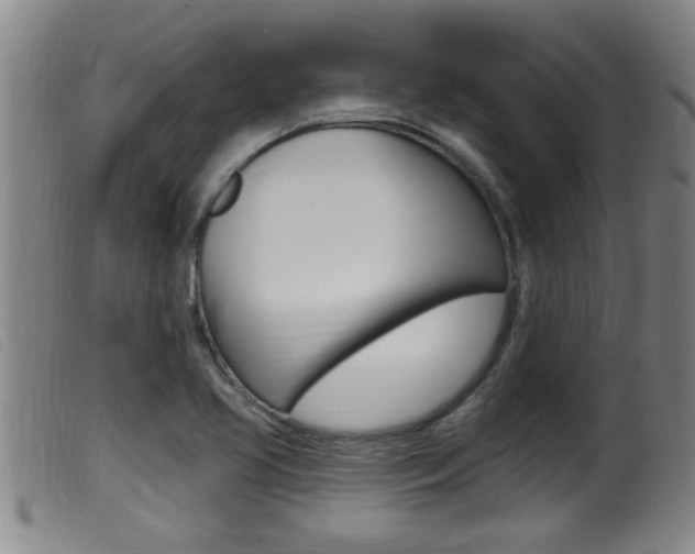 X0000099951413200805230950