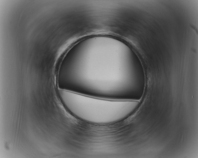 X0000099951414200805230950