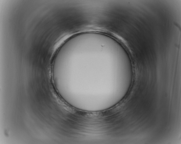 X0000099951415200805230950