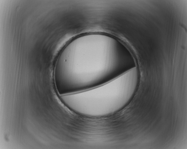 X0000099951416200805230950