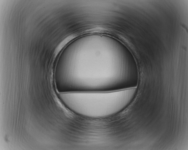 X0000099951418200805230950