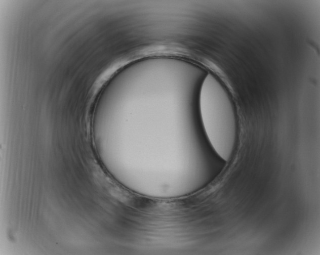 X0000099951419200805230950