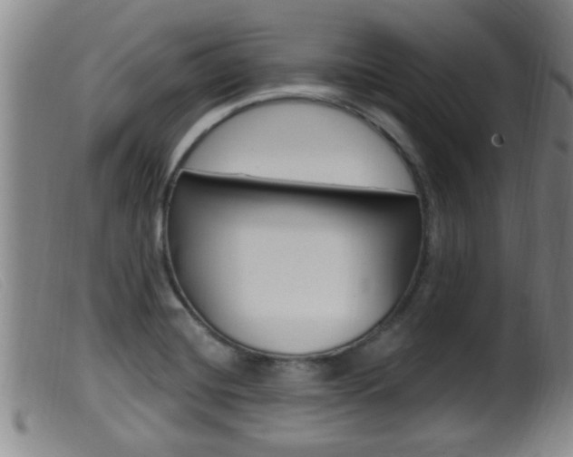 X0000099951420200805230950