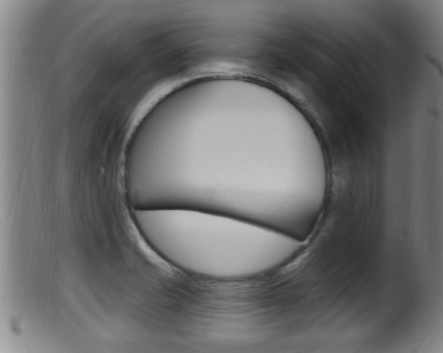 X0000099951421200805230950