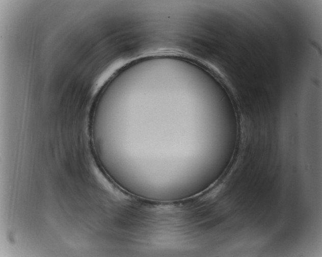 X0000099951422200805230951