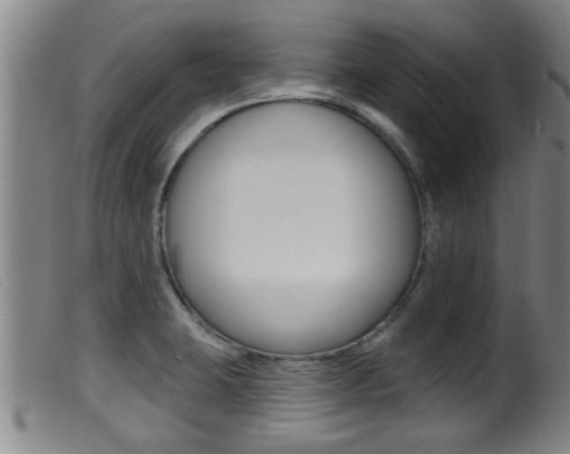 X0000099951423200805230951
