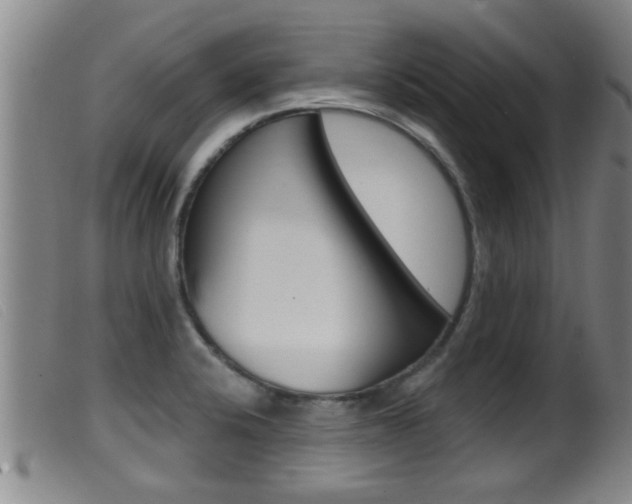 X0000099951424200805230951
