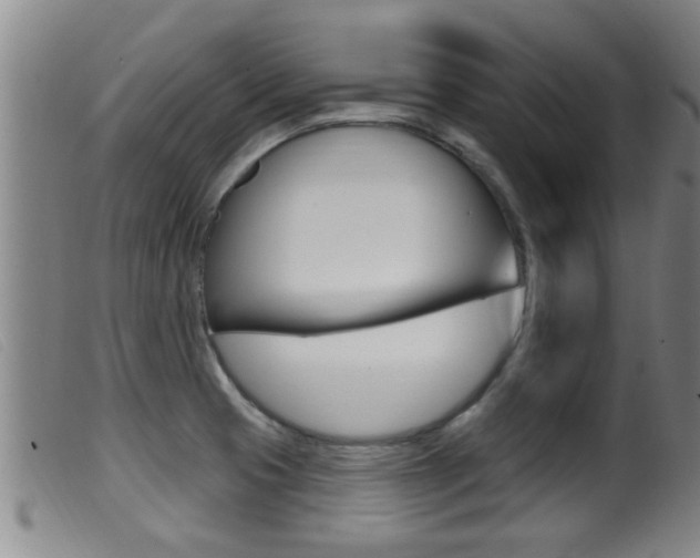 X0000099951425200805230951
