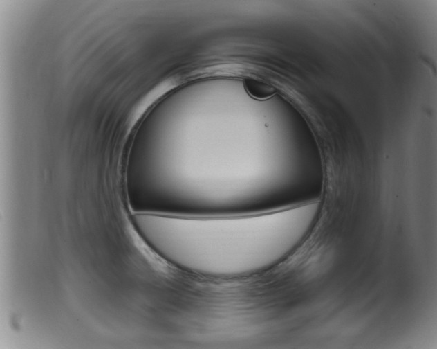X0000099951426200805230951