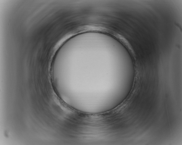 X0000099951427200805230951