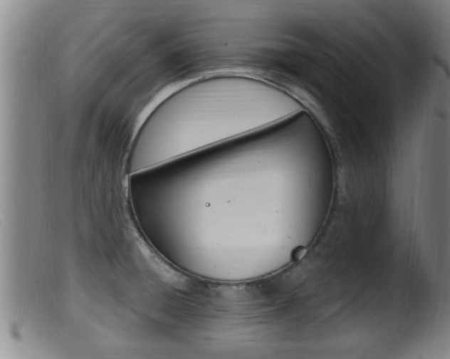 X0000099951428200805230951
