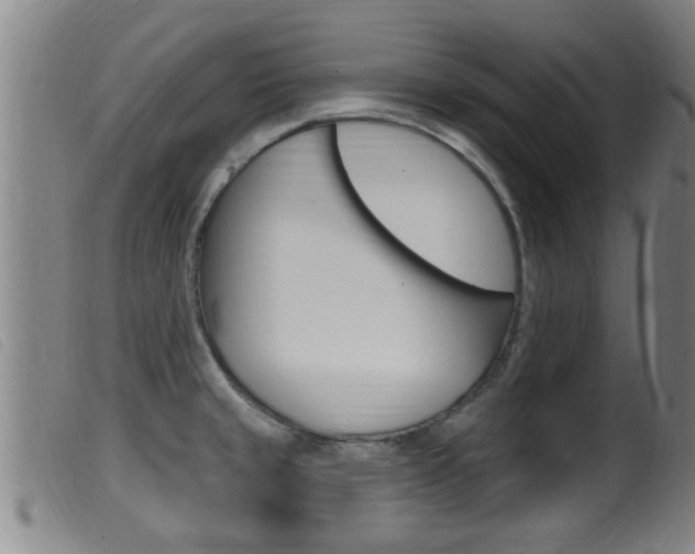 X0000099951429200805230951