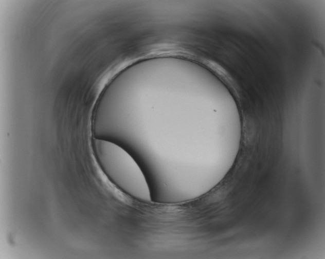X0000099951431200805230951