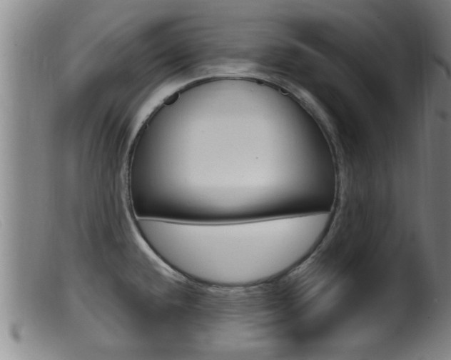 X0000099951432200805230951