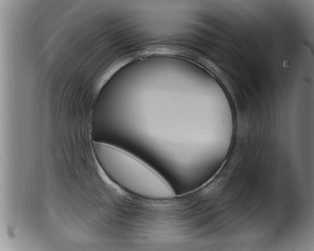 X0000099951433200805230951