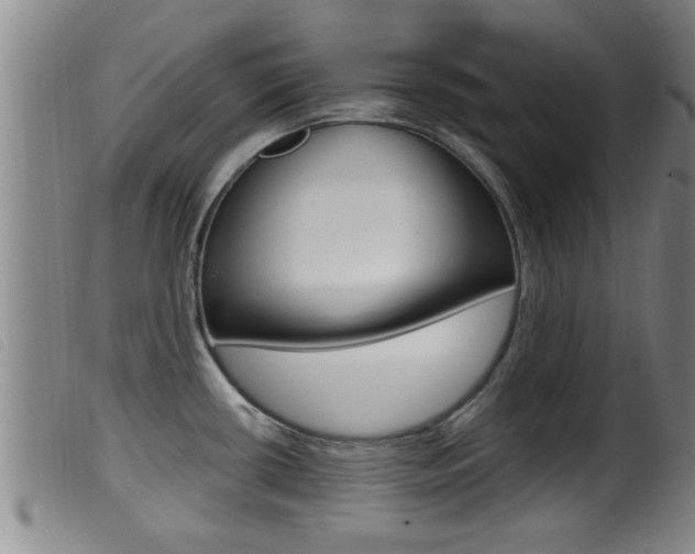 X0000099951434200805230951
