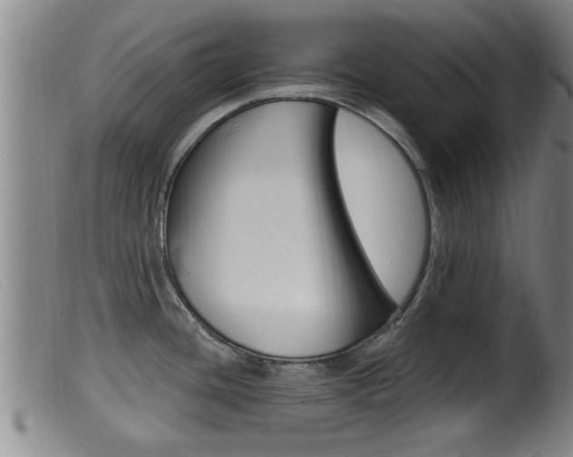 X0000099951436200805230951
