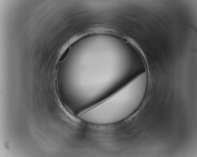 X0000099951437200805230951