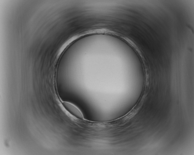 X0000099951438200805230951