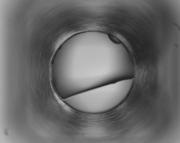 X0000099951439200805230951