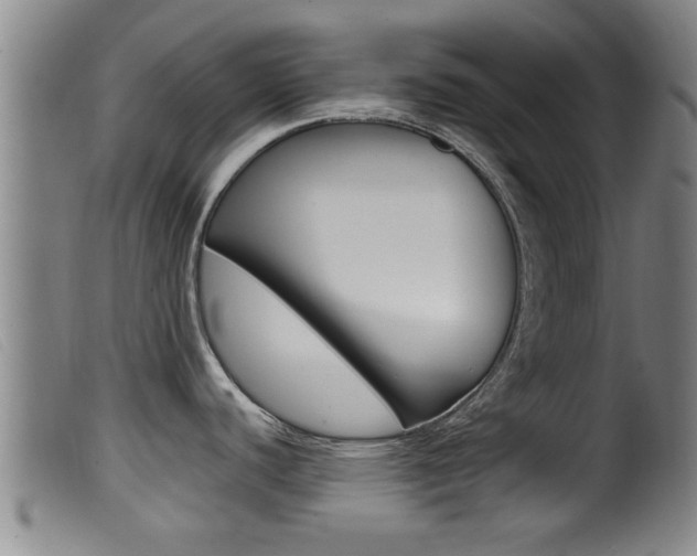 X0000099951440200805230951