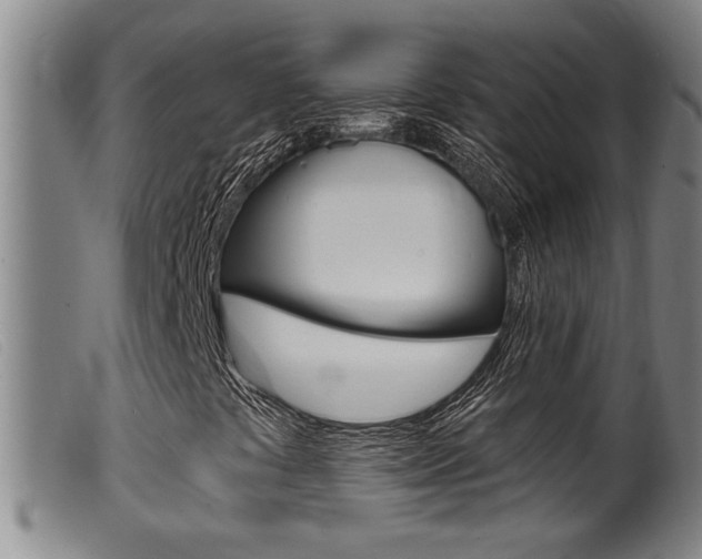 X0000099951441200805230950