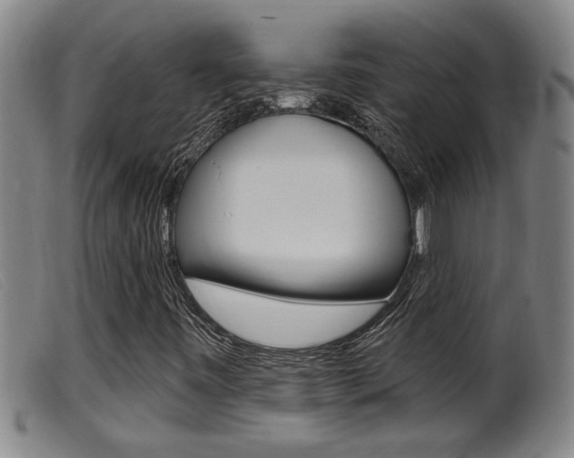X0000099951443200805230950