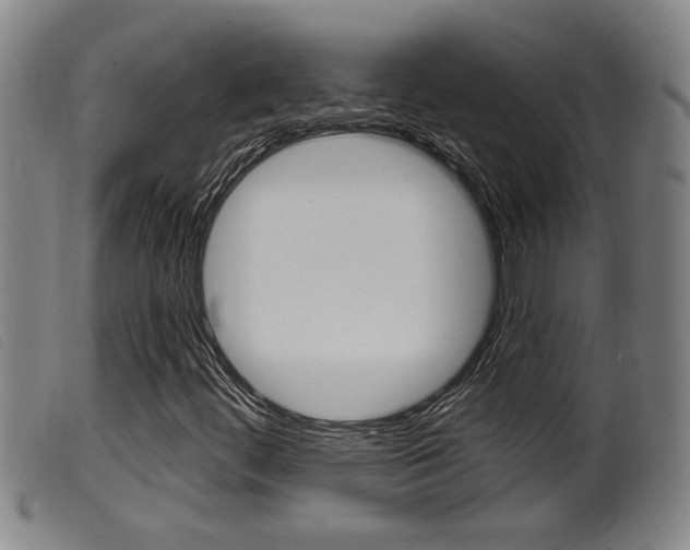 X0000099951444200805230950