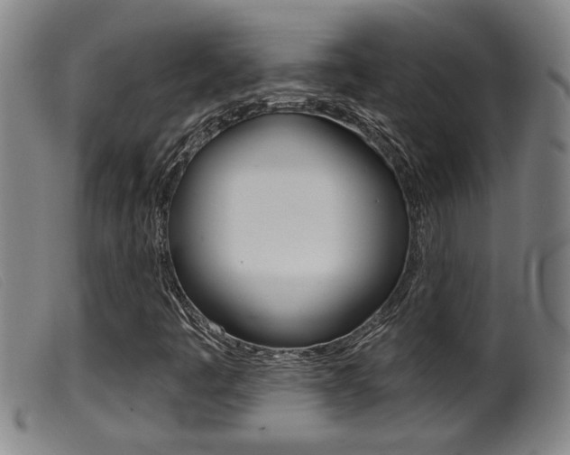X0000099951445200805230950