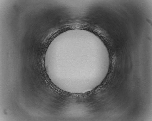 X0000099951446200805230950