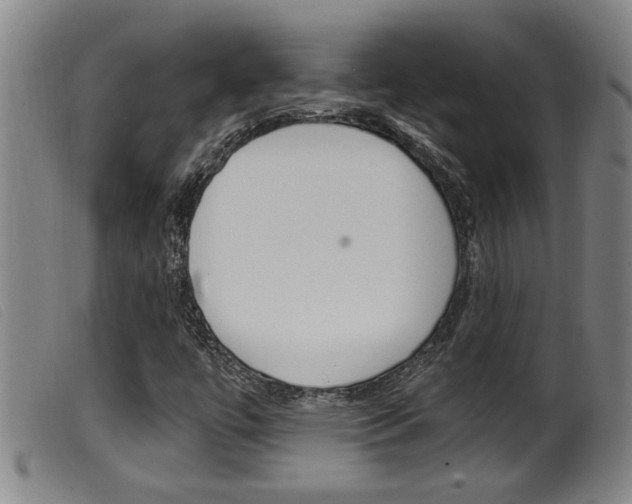 X0000099951447200805230950