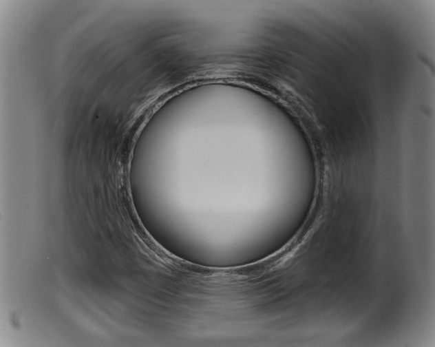 X0000099951449200805230950