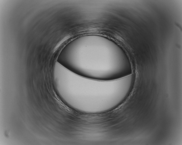X0000099951450200805230950