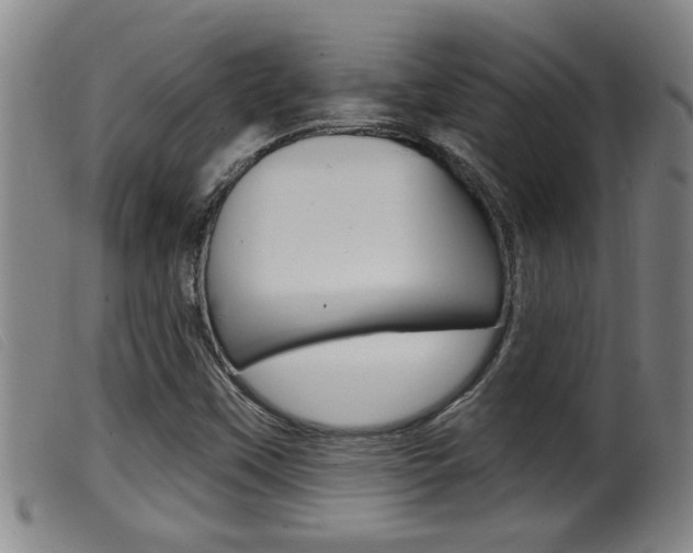 X0000099951451200805230950