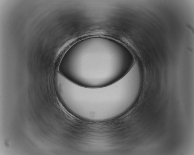 X0000099951452200805230950