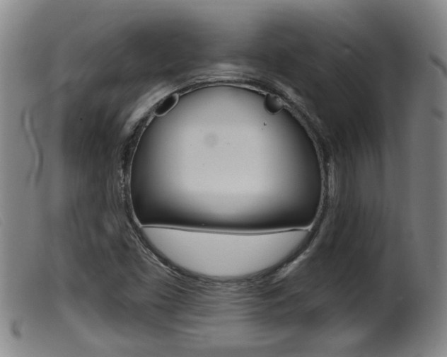X0000099951453200805230950