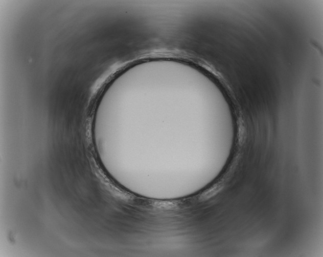 X0000099951454200805230950
