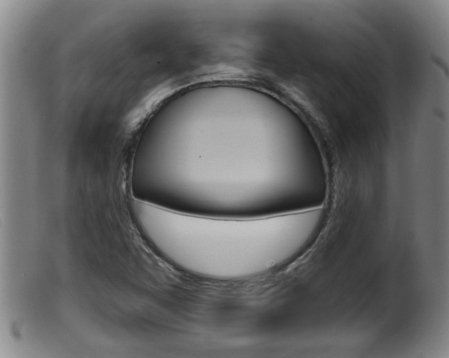 X0000099951455200805230950