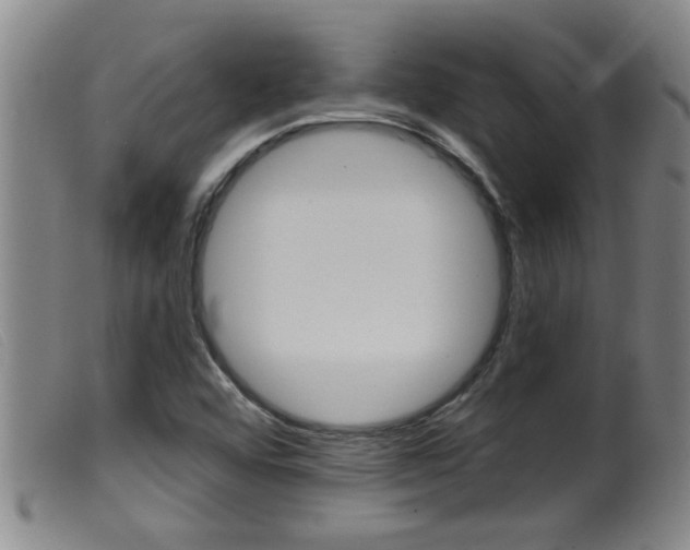 X0000099951456200805230950