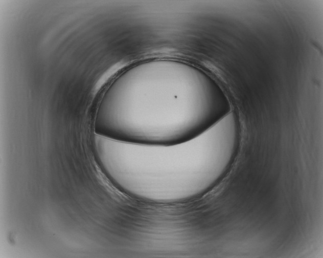 X0000099951458200805230950